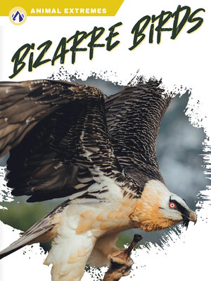 cover image of Bizarre Birds